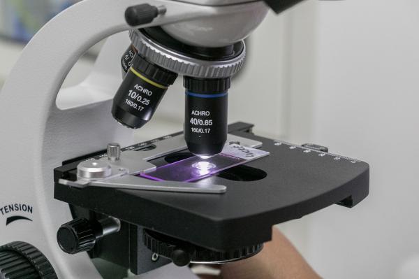 Image for event: Microscopy