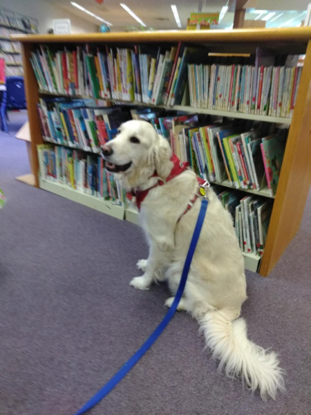 Image for event: Read to Bing the Dog!